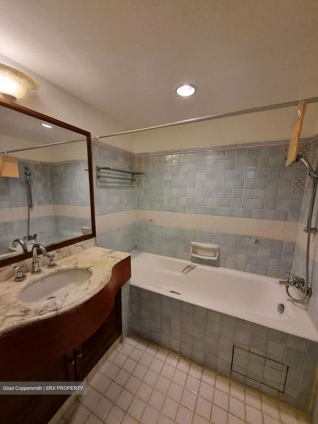 Cavenagh Lodge (D9), Apartment #621780971